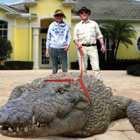 Florida – Snowbirds und eine Insel voller Narren