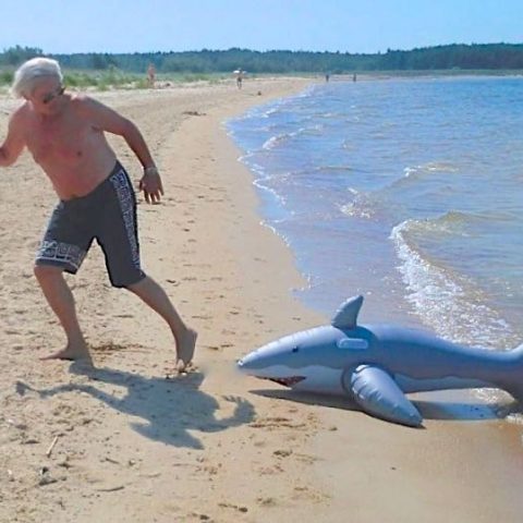 Baltikum – Ostsee-Hai-Angriff