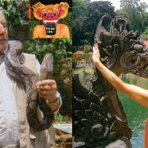 Bali – Endlich entdämonisiert!