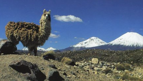 Chile – Chilenische Schweiz