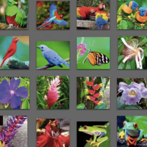 Costa Rica – Reise Resümee