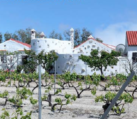 Teneriffa – Weinfinca-Winterferien